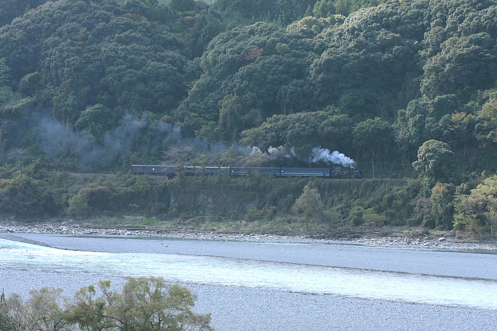 川沿いの道 - 2011年・大井川 -_b0190710_054388.jpg