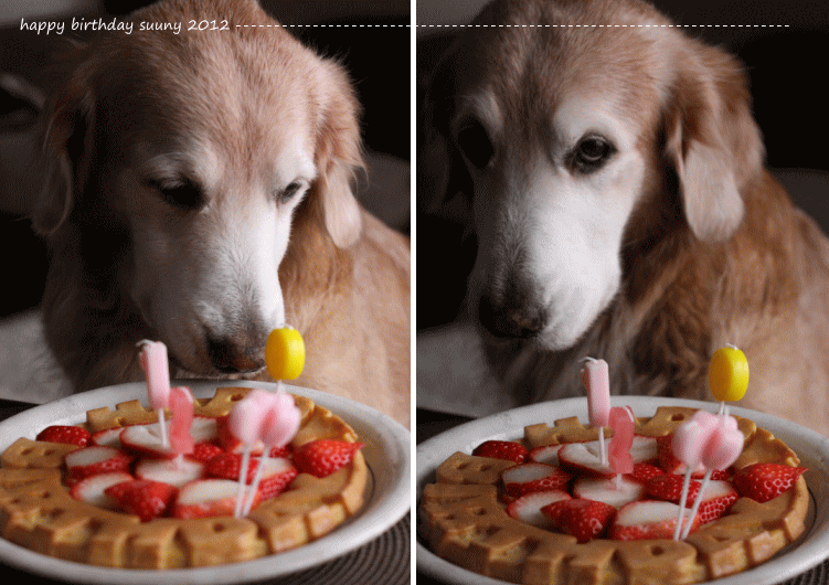 c0017311_1540145.gif