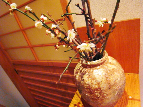 c0116714_11248.jpg