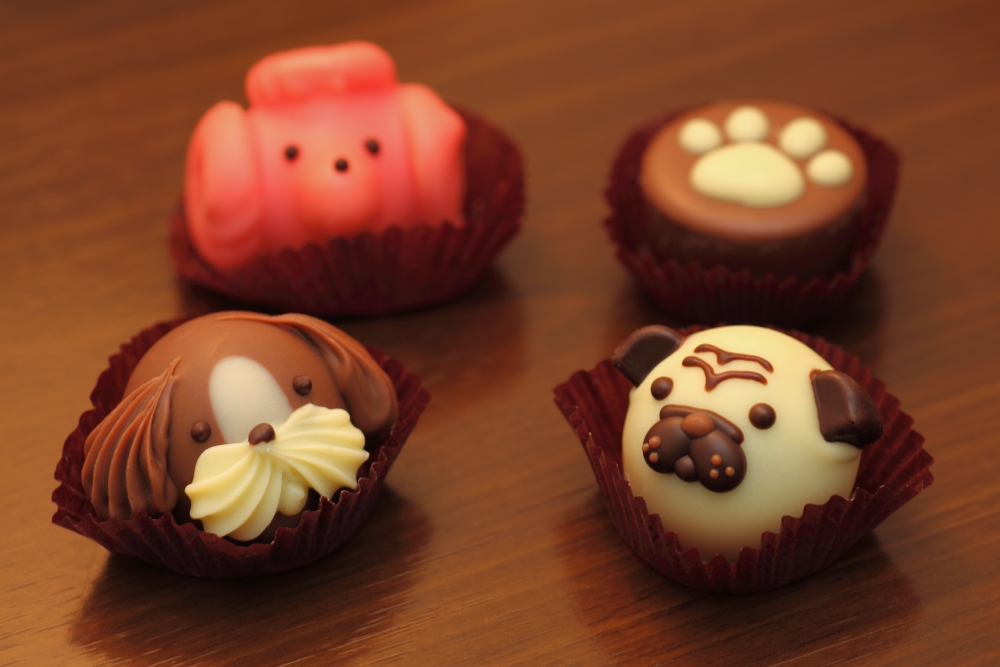 Goncharoff Animal Chocolat_d0193615_17355990.jpg