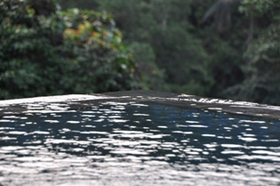 f0159818_1163589.jpg