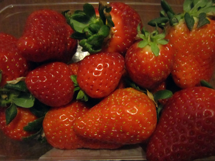 たかが砂糖されど砂糖_f0234936_1949795.jpg