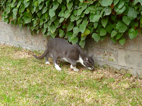 d0170140_739519.jpg