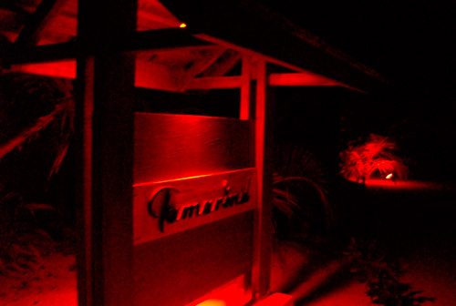 f0209740_1631316.jpg