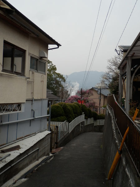 c0047341_974481.jpg