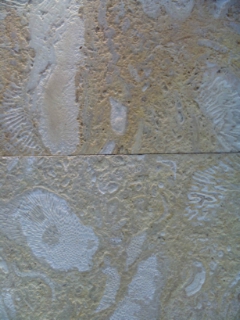 f0013255_66635.jpg