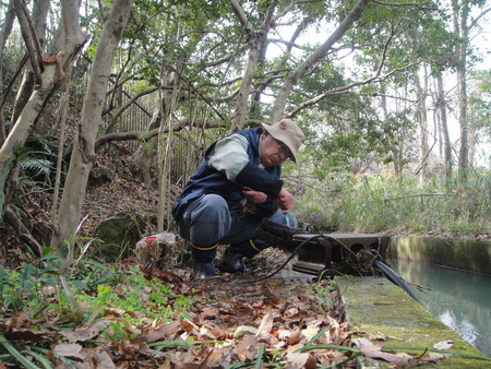 H24年3月度植物観察_c0108460_17214311.jpg