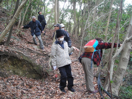 H24年3月度植物観察_c0108460_17265120.jpg
