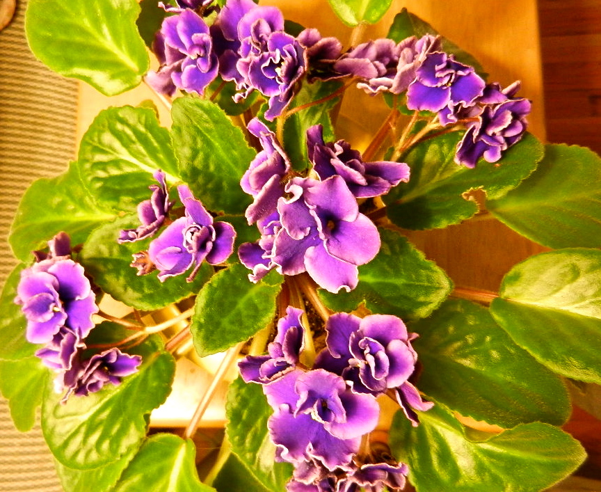 b0207361_11411036.jpg