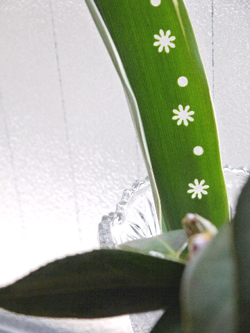 e0086864_0404053.jpg