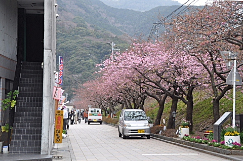 b0053765_21173736.jpg