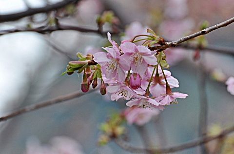 b0053765_2121924.jpg