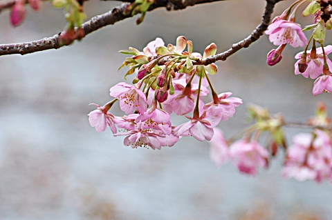 b0053765_21223983.jpg