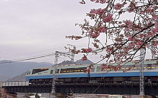 b0053765_21312950.jpg