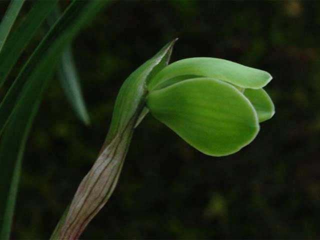 c0068168_13164660.jpg