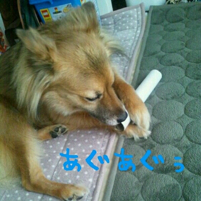 f0238772_10341672.jpg
