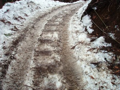 運動靴で大丈夫！～地獄谷野猿公苑への遊歩道～_f0085982_21341064.jpg