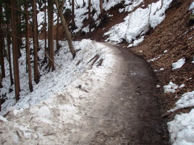 運動靴で大丈夫！～地獄谷野猿公苑への遊歩道～_f0085982_21375398.jpg