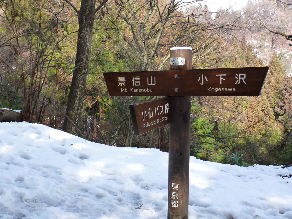 雪解けの奧高尾　景信山～高尾山（2）　景信山まで♪_e0195587_20594544.jpg