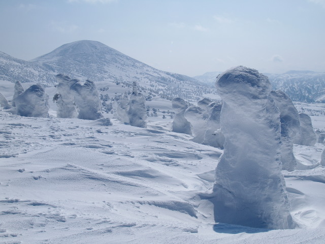 八甲田大樹氷群スノーシュートレッキング_a0007388_1546442.jpg