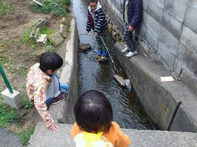c0095091_051096.jpg