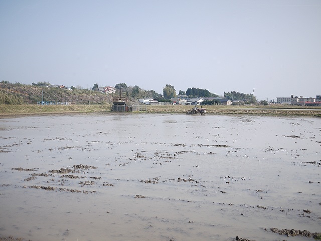 e0145693_165648.jpg