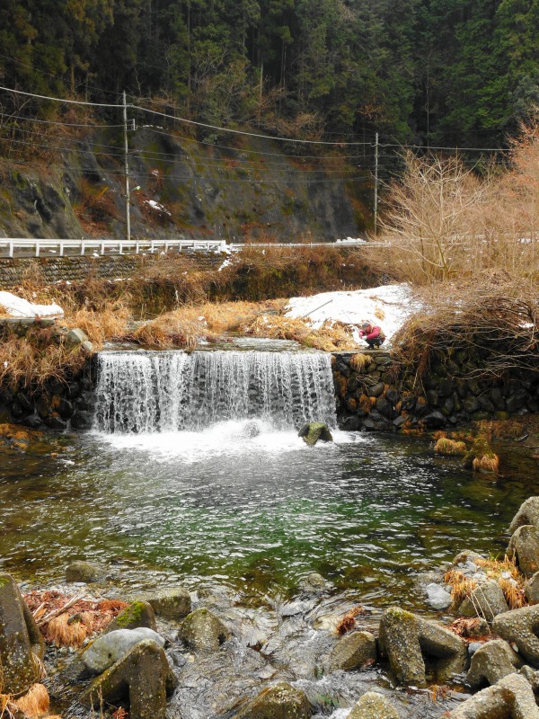e0202393_8142924.jpg