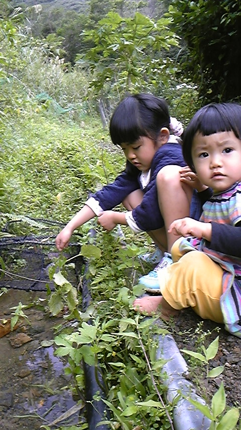 e0220493_23244534.jpg
