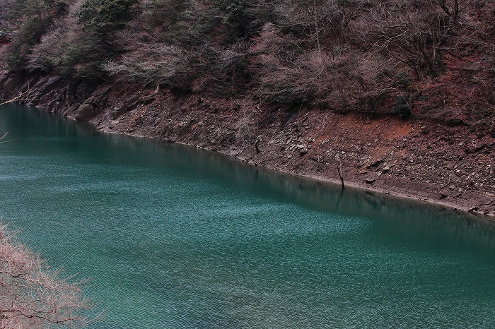 f0174293_7444967.jpg