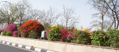 c0222897_17403911.jpg