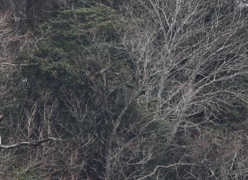 b0223198_17371156.jpg