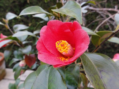 c0125501_23185562.jpg