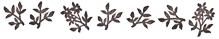d0179006_5121832.gif