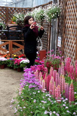 植物園 早春の花展_e0048413_22421820.jpg