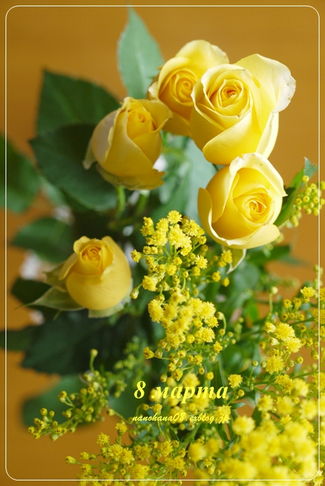 8 марта 2012 の花_b0171523_10352341.jpg