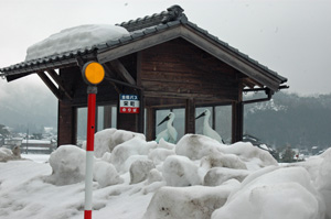 12/3/1　小学校の巣塔にペア―豊岡講演旅行記⑥_f0004331_1832677.jpg