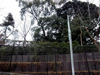 b0019140_15513189.jpg