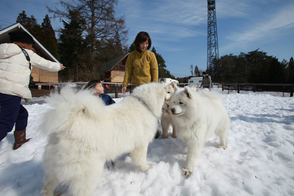 初参加！ 2012雪中オフ〜♩_f0172840_23397.jpg