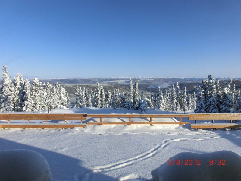 a0139848_13433050.jpg