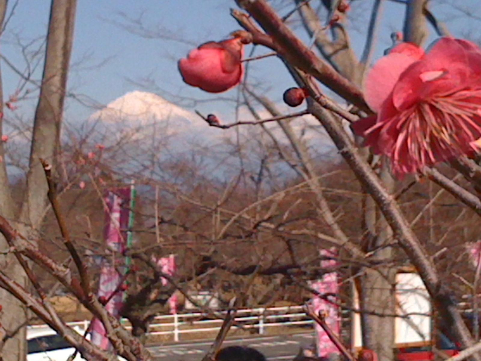 b0005652_2132521.jpg