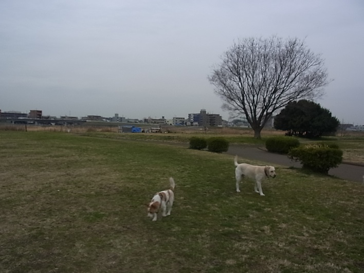 c0113755_13231916.jpg