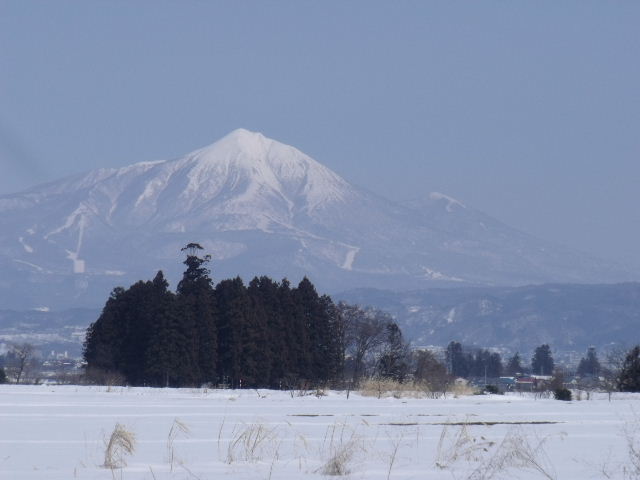 議会はつづくよ・・・3/19まで_b0092858_8265068.jpg