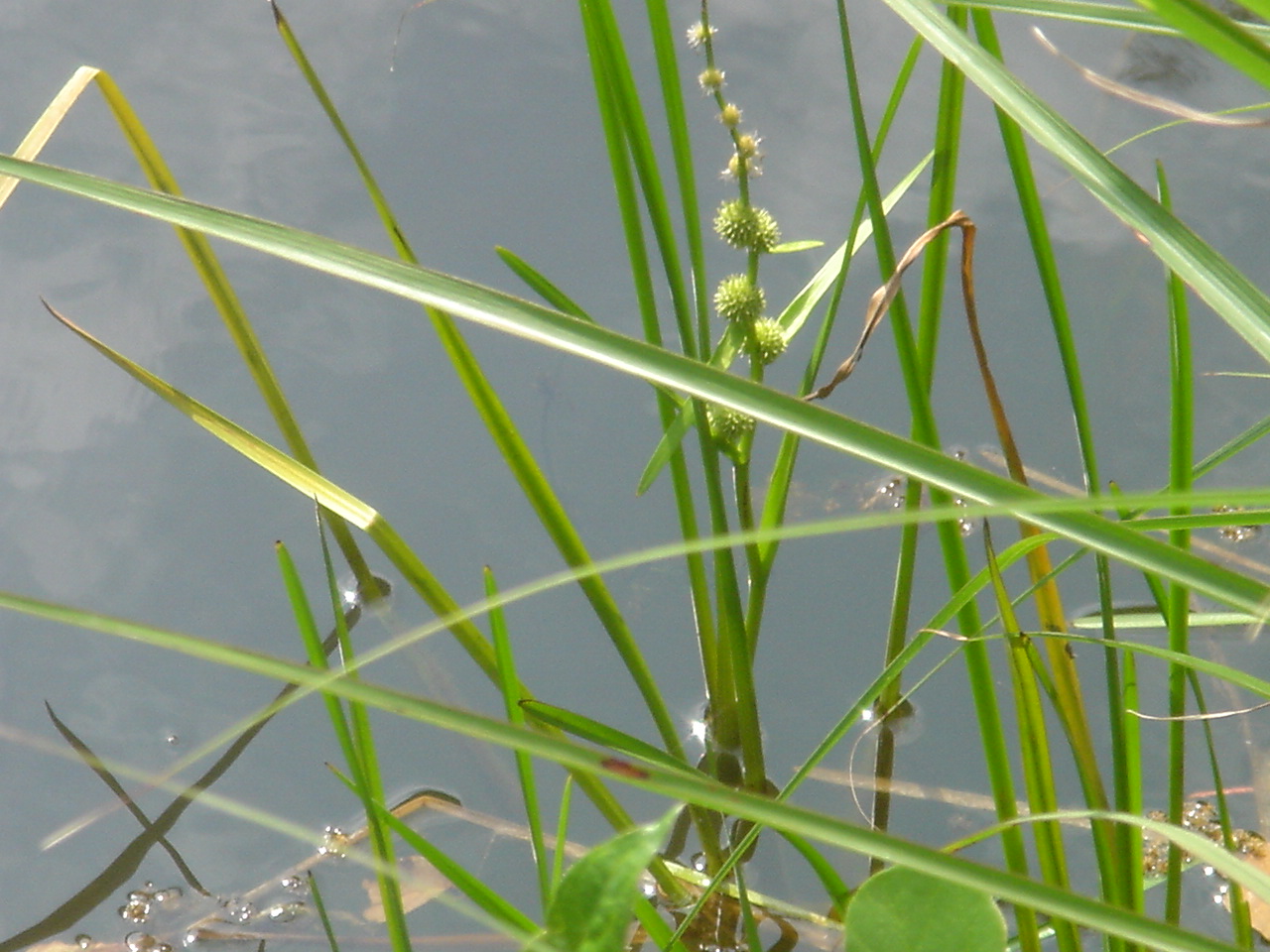 c0108460_2322553.jpg