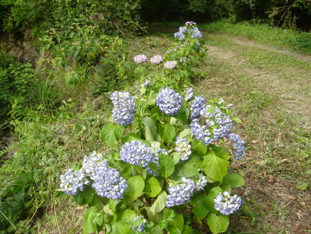 c0108460_23233265.jpg