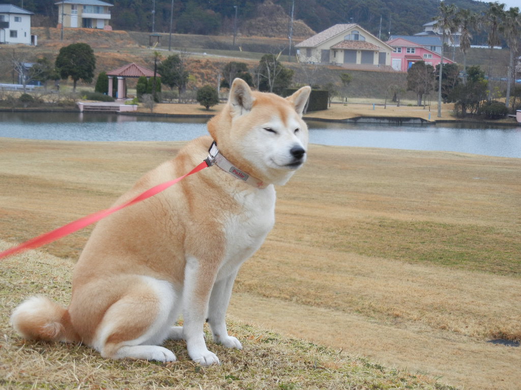 2012年3月9日(金)雨の日には部屋の中で・・・_f0060461_1313550.jpg