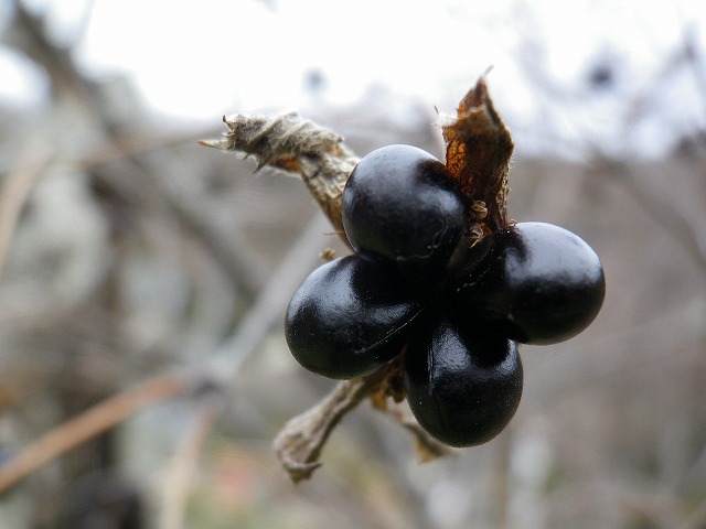 d0054276_20225036.jpg