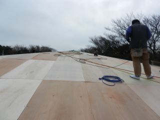 2012年3月9日 いきそびれちゃうよ・・・_b0098584_1121856.jpg
