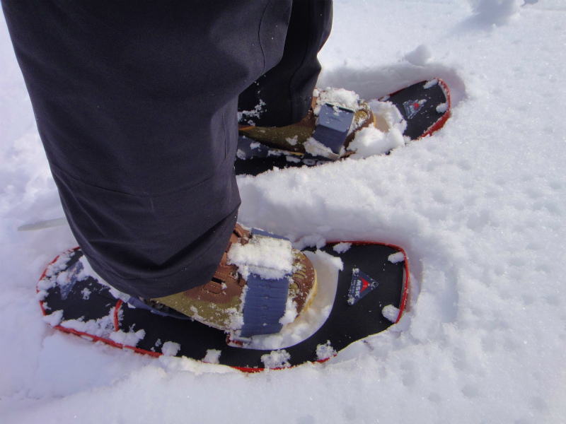 2012/02/29 Backcountry Snowboarding in 野谷荘司山_b0220886_13255411.jpg