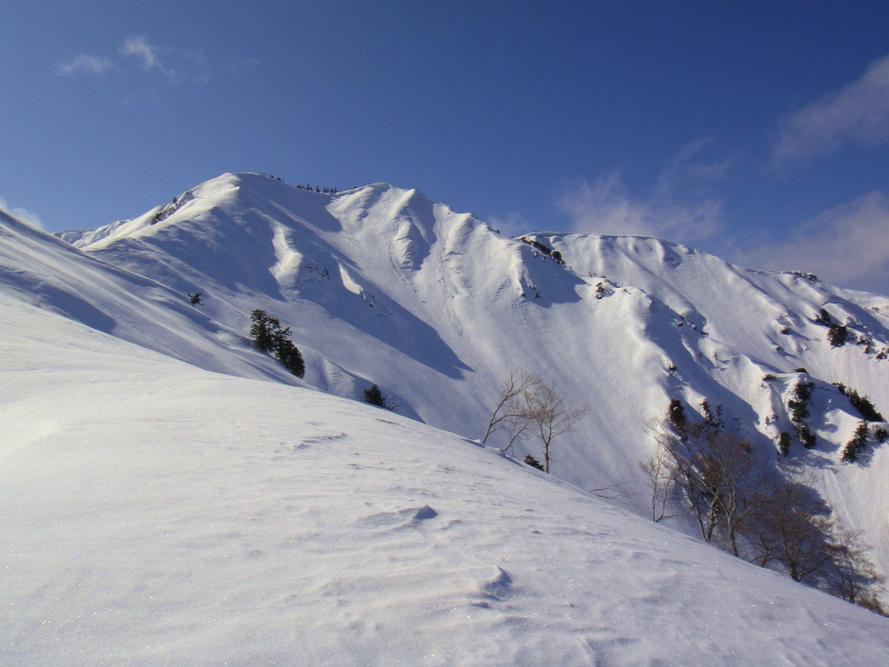 2012/02/29 Backcountry Snowboarding in 野谷荘司山_b0220886_13405624.jpg