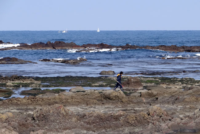 春風に誘われて 西海岸ドライブ2012_a0136293_17223522.jpg